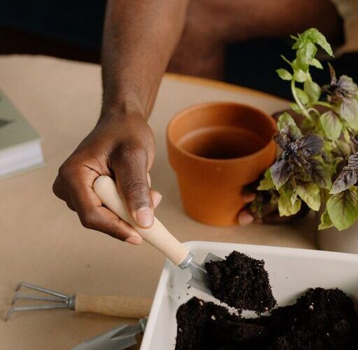 How to Start a Small Herb Garden Indoors: A Beginner’s Guide