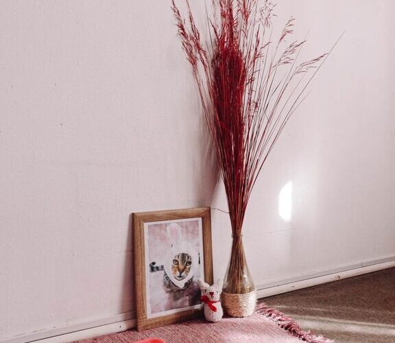 How to Set Up a Cozy and Safe Pet-Friendly Home Corner